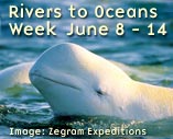 Learn more about Ocean's Day.