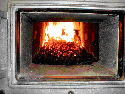 Biomass combustion in a moving grate furnace