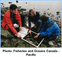 Shorekeepers - Credit: DFO Pacific