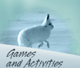 Text: Games and Activities. Photo: An Arctic hare in mid-hop.