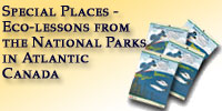 Special Places - Eco-lessons from the National Parks in Atlantic Canada 