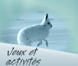Texte : Jeux et activits. Photo : Un livre arctique pris sur le vif.