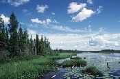 Lake in the Northern Boreal Plains
