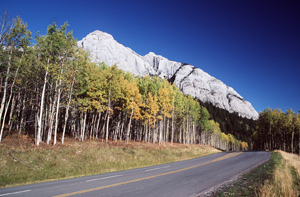 Corridor routier dans le parc national de Banff