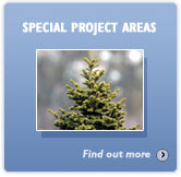 Special Project Areas - Find out more