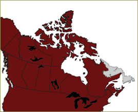 Terre-Neuve et Labrador