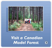 Visit a Canadian Model Forest