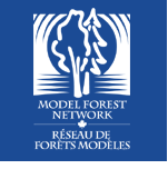 Model Forest Network / Réseau de forêts modèles
