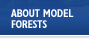 About Model Forests