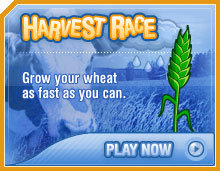 Harvest Race