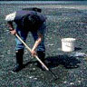 Man harvesting shellfish