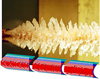 Formation de glace expérimentale en forme de « queue de homard » sur une aile en flèche et trois prédictions numériques d’un angle de flèche, obtenues à l’aide du modèle morphogénétique du CNRC