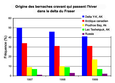 Graphique d'origine des bernaches cravant qui passent l'hiver dans le delta du Fraser