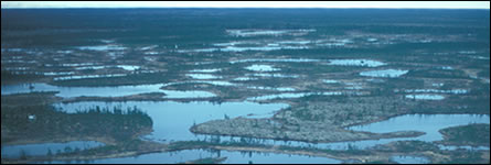 Image of Hudson Bay Lowlands / Canadian Wildlife Service