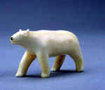 Polar bear; PCD 94-594-084