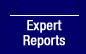 Expert Reports
