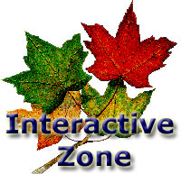 Interactive Zone
