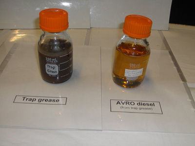 Waste grease (left) AVRO Diesel sample (right)