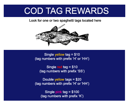 COD TAG REWARDS: Single yellow tag = $10 (tag numbers with prefix 'H' or 'HH')Single red tag = $10 (tag numbers with prefix 'SS')Double yellow tags = $20 (tag numbers with prefix 'H' or 'HH') Single pink tag = $100 tag numbers with prefix 'K')