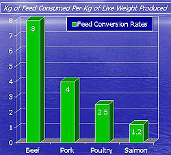 Kg of Feed Consumed Per Kg of Live Weight Produced