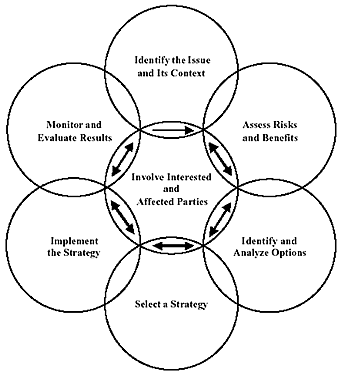 Figure 1: Decision-Making Framework