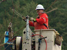 BC Hydro crews were out in full force on Tuesday to repair snapped power poles damaged by Monday's fierce storm. 