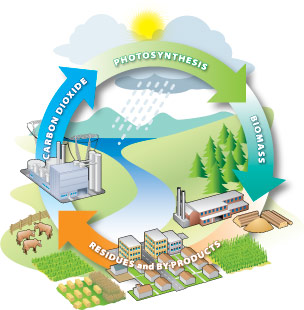 Bioenergy Cycle