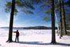 Snowshoeing along the shore