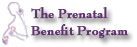 The Prenatal Benefit Program