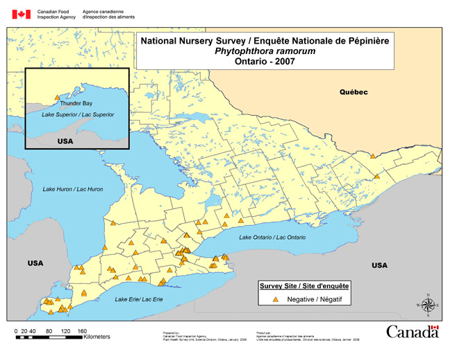 Carte d'enqute de Phytophthora ramorum, Ontario 2007