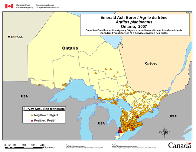 Carte d'enqute de Agrilus planipennis, Ontario 2007