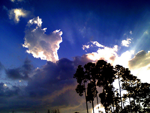 Bold Clouds and Sunlight