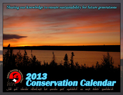 2013 Conservation Calendar