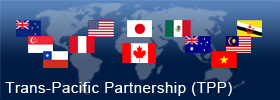 Trans-Pacific Partnership Free Trade Agreement Negotiations