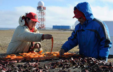 Canadian Rangers preparing caribou meat and fish.