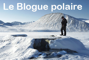 Le Blogue polaire