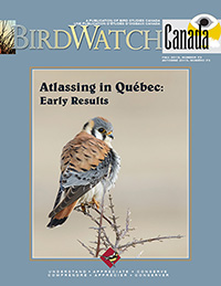 Birdwatch Canada Cover