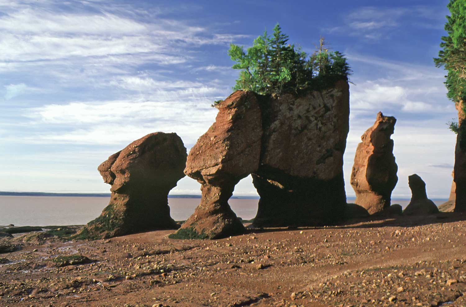 Low tide at the Hopewell Rocks at Hopewell Cape, New Brunswick