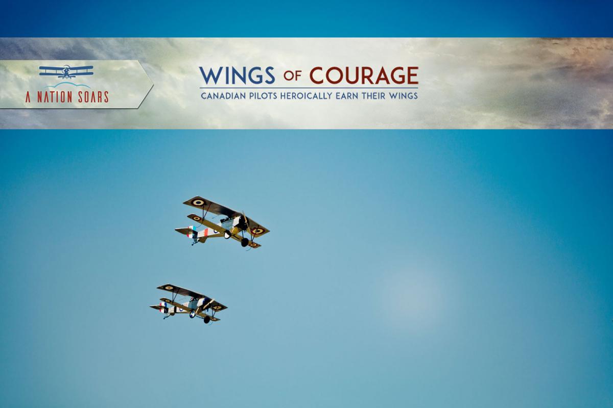 Wings of Courage biplanes