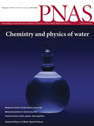 Chemical Physics of Water
