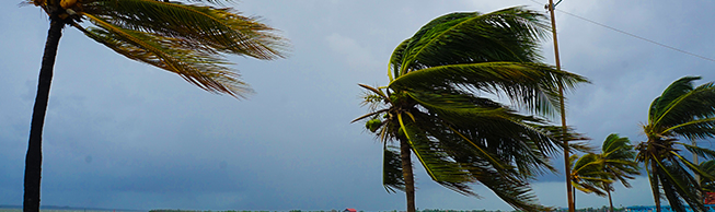 COVID-19 and hurricane season: Be prepared