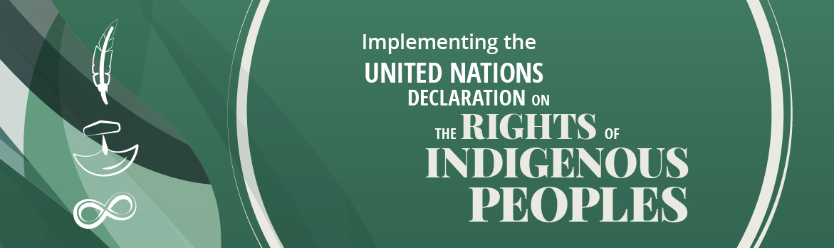Building a brighter future. Building a better Canada. Implementing the United Nations Declaration on the Rights of Indigenous Peoples.