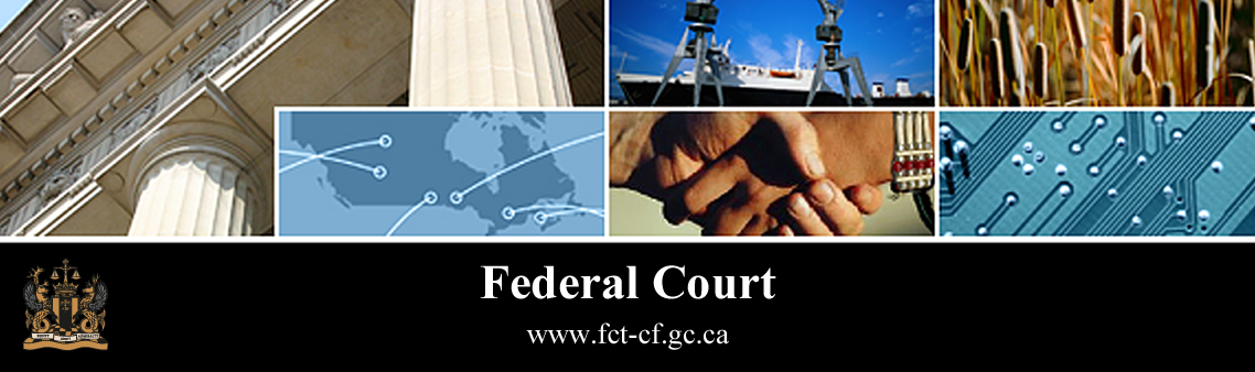 Tab 6: Federal Court